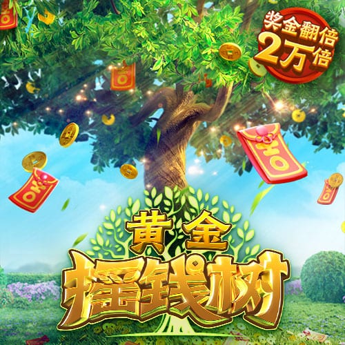 申花将派两队参加“Soccer7sSeries”七人制国际足球邀请赛